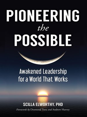 cover image of Pioneering the Possible